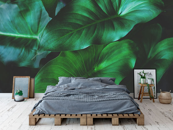 Behang Tropical leaves 3 - Daring Walls