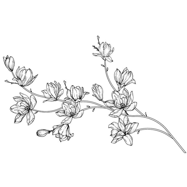Muurstickers Flower drawing Magnolia-1 - Daring Walls